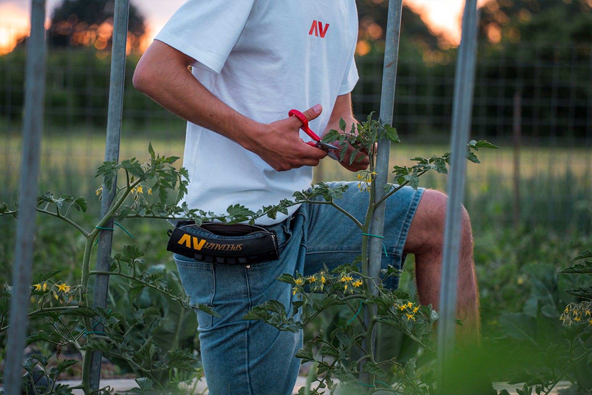AV6 Borsello Cycle Pocket